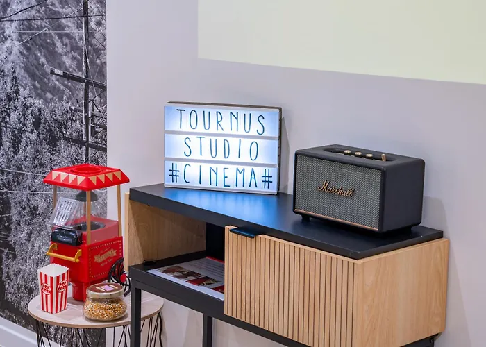 Food And Chill - Deux Appartements Hypercentre - 1 Theme Cinema - By Primo C0Nciergerie