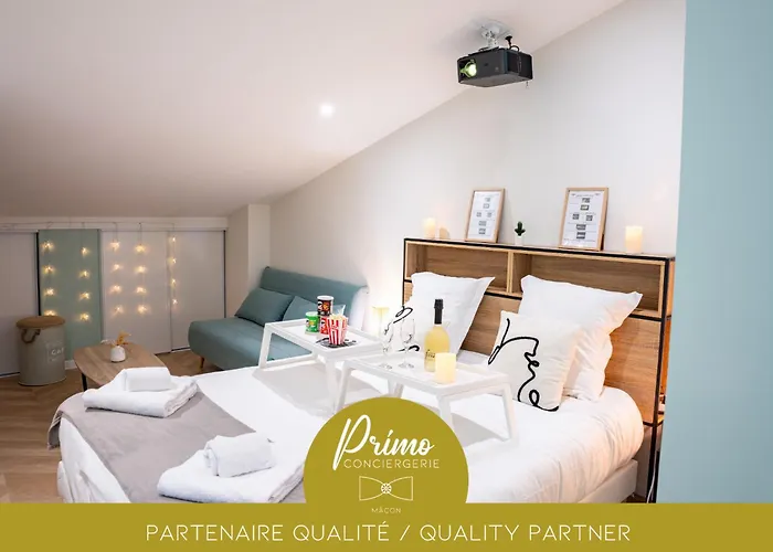 Food And Chill - Deux Appartements Hypercentre - 1 Theme Cinema - By Primo C0Nciergerie